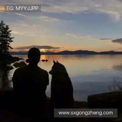赵萍静